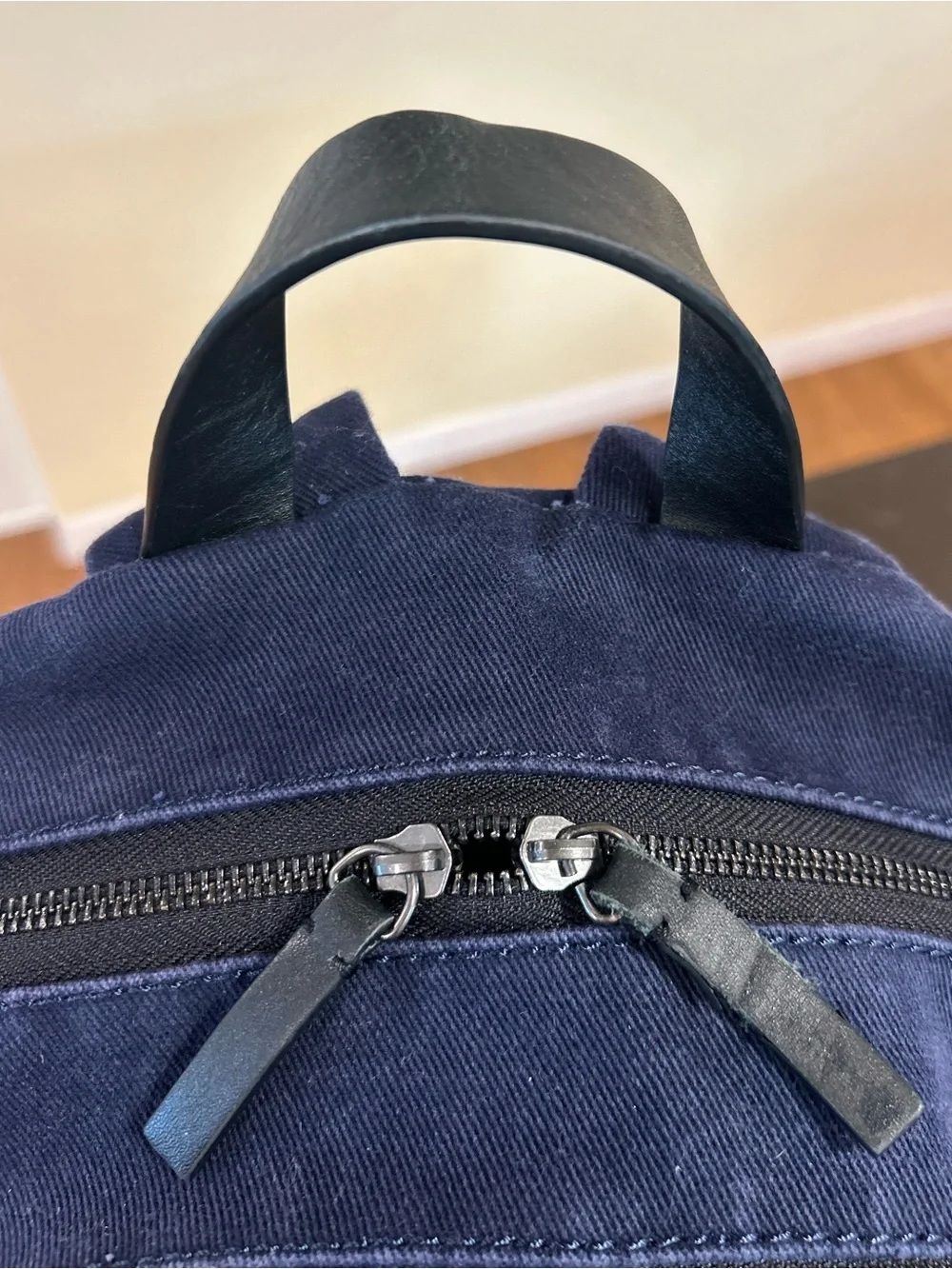 Everlane Modern Commuter Canvas Backpack